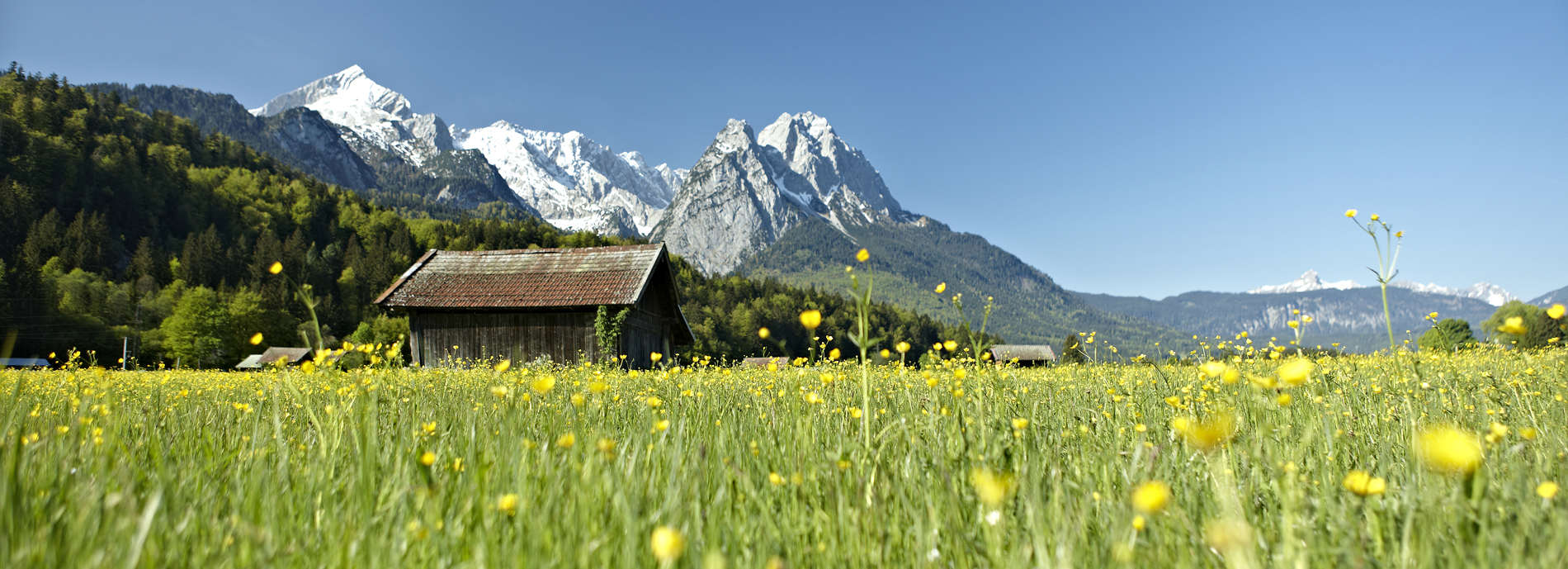 Sommerliche Wiesen mit Bergblick bei Garmisch Partenkirchen